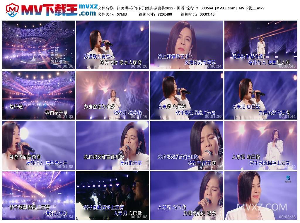 江美琪-春的样子(经典咏流传2022)_国语_流行_YF600564